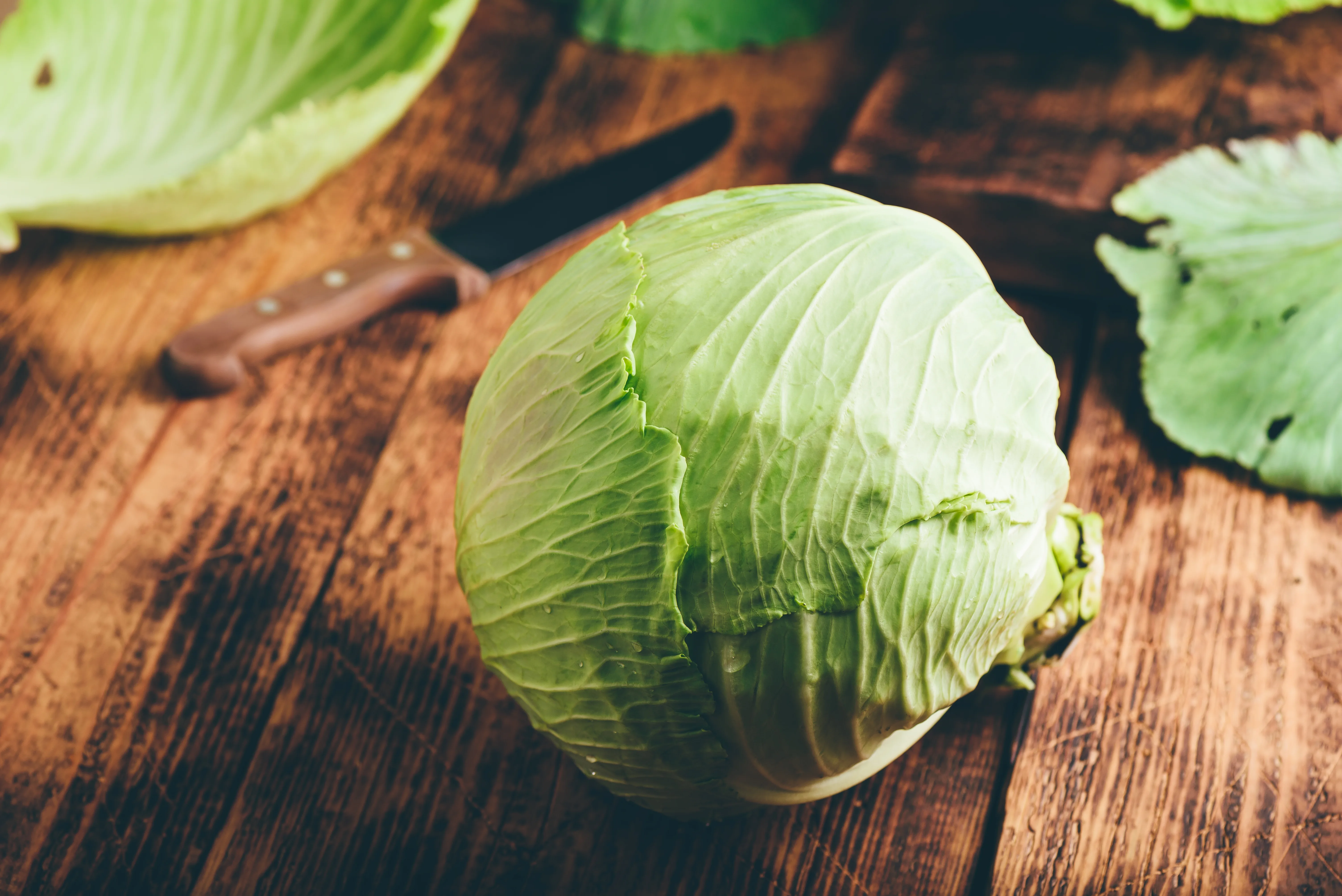Cabbage