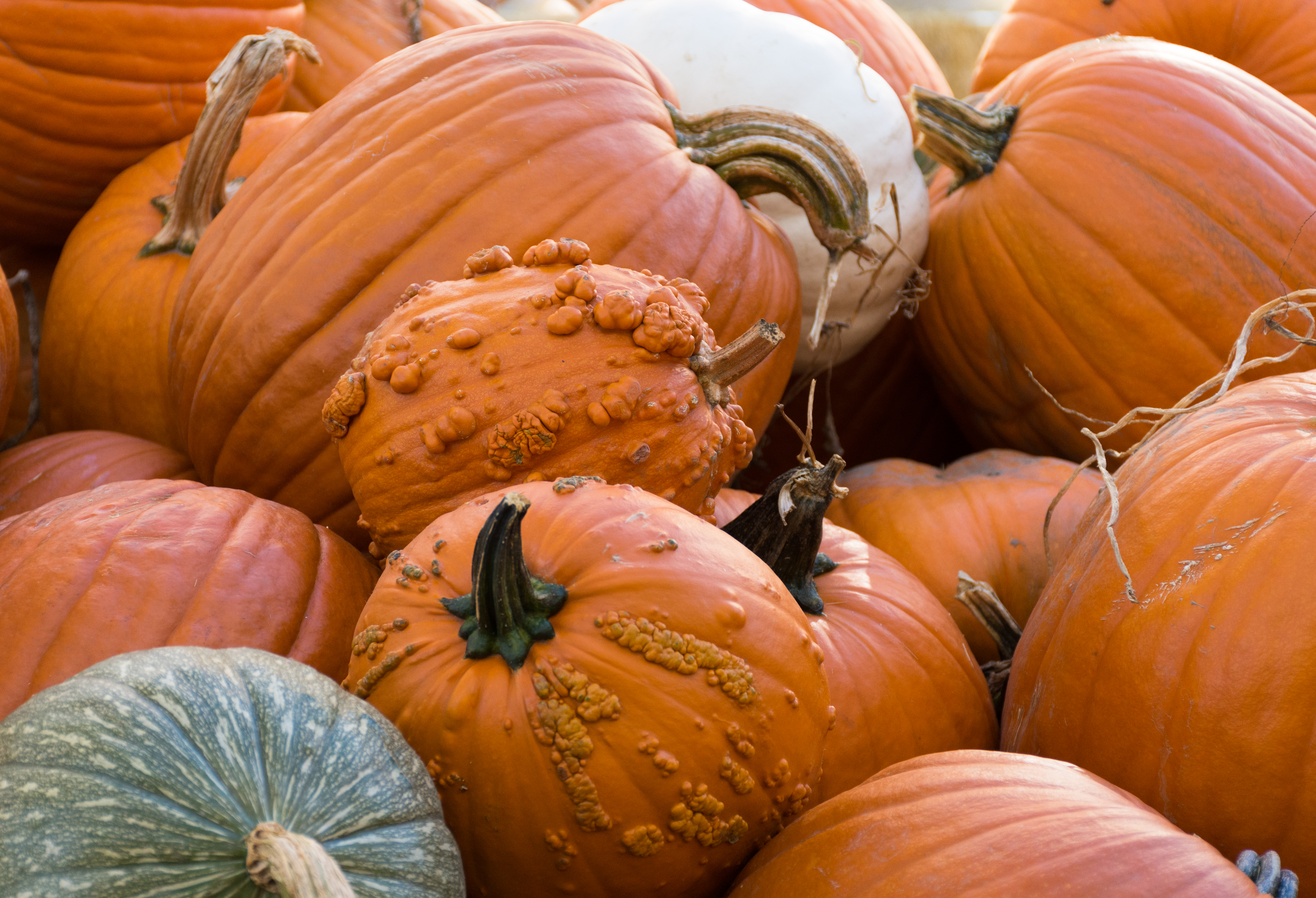 Pumpkins