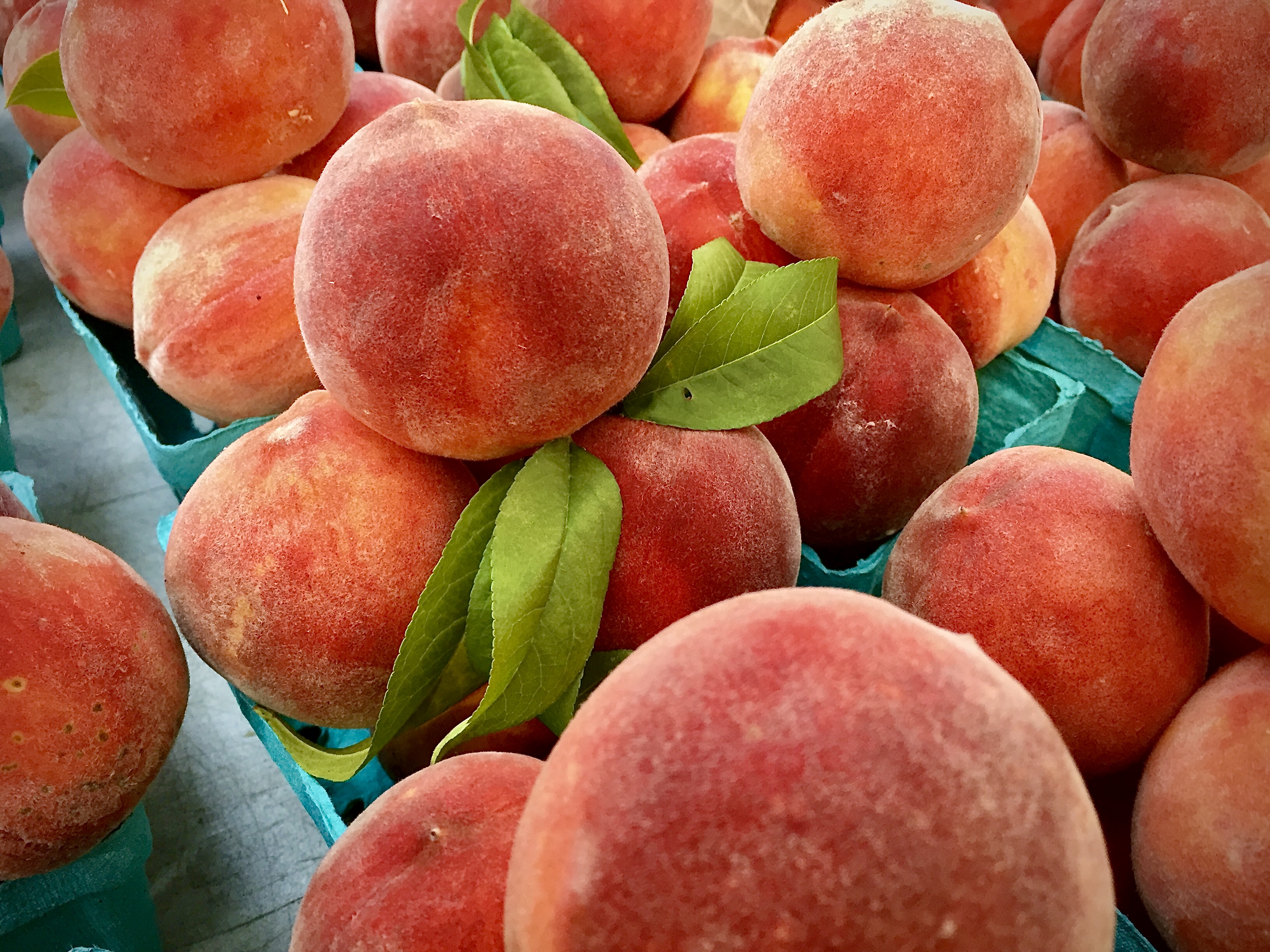Peaches
