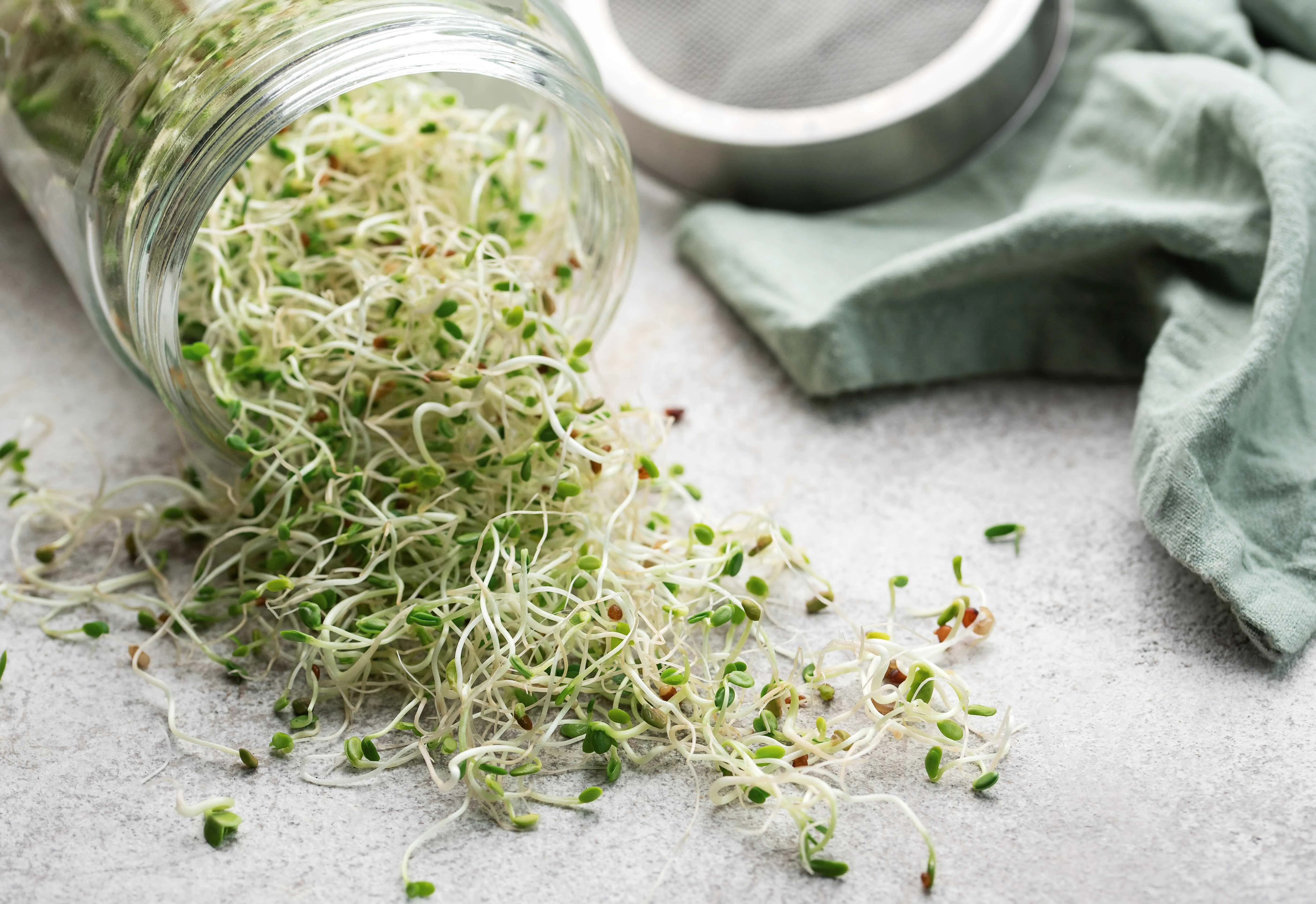 Sprouts