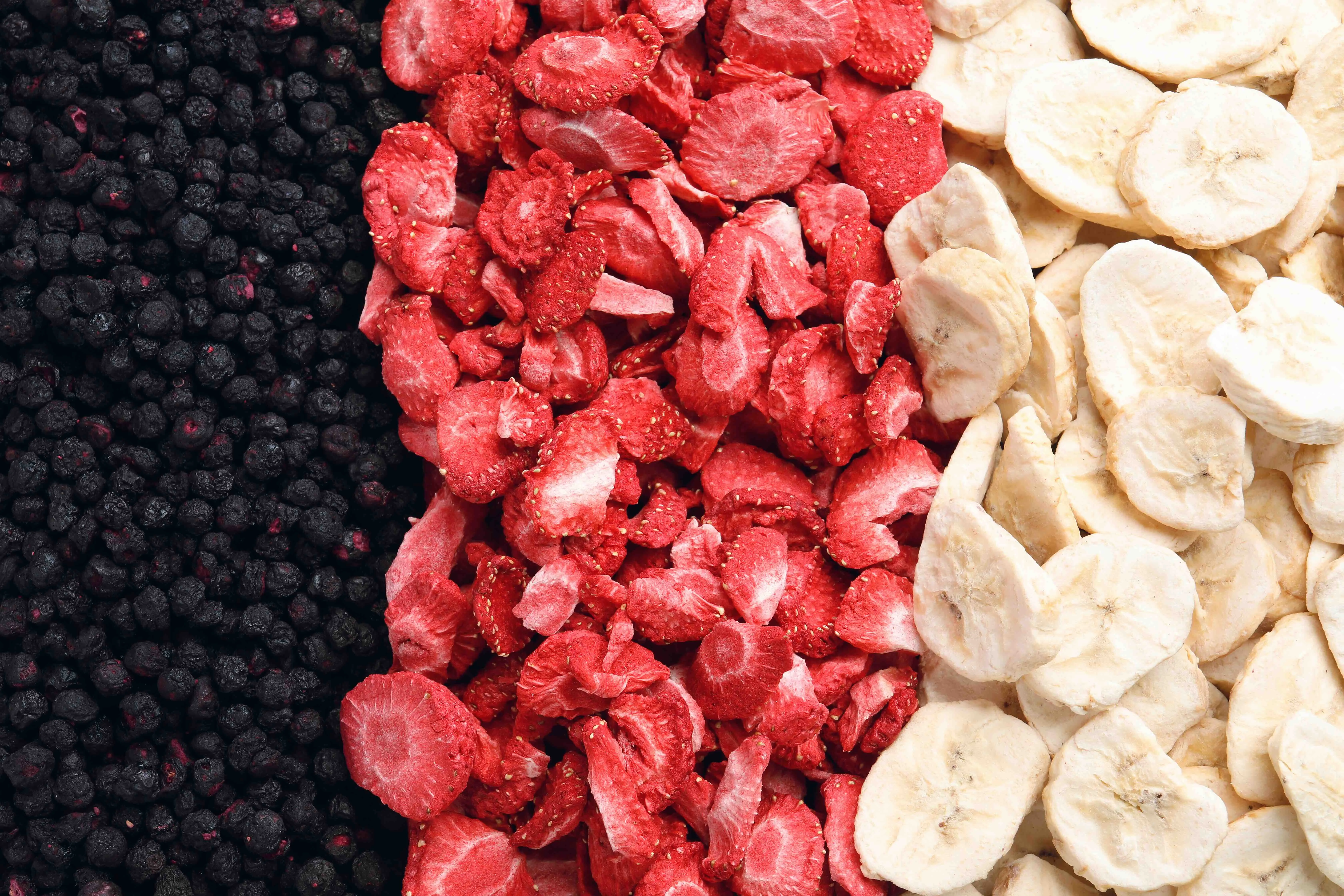 Freeze Dried