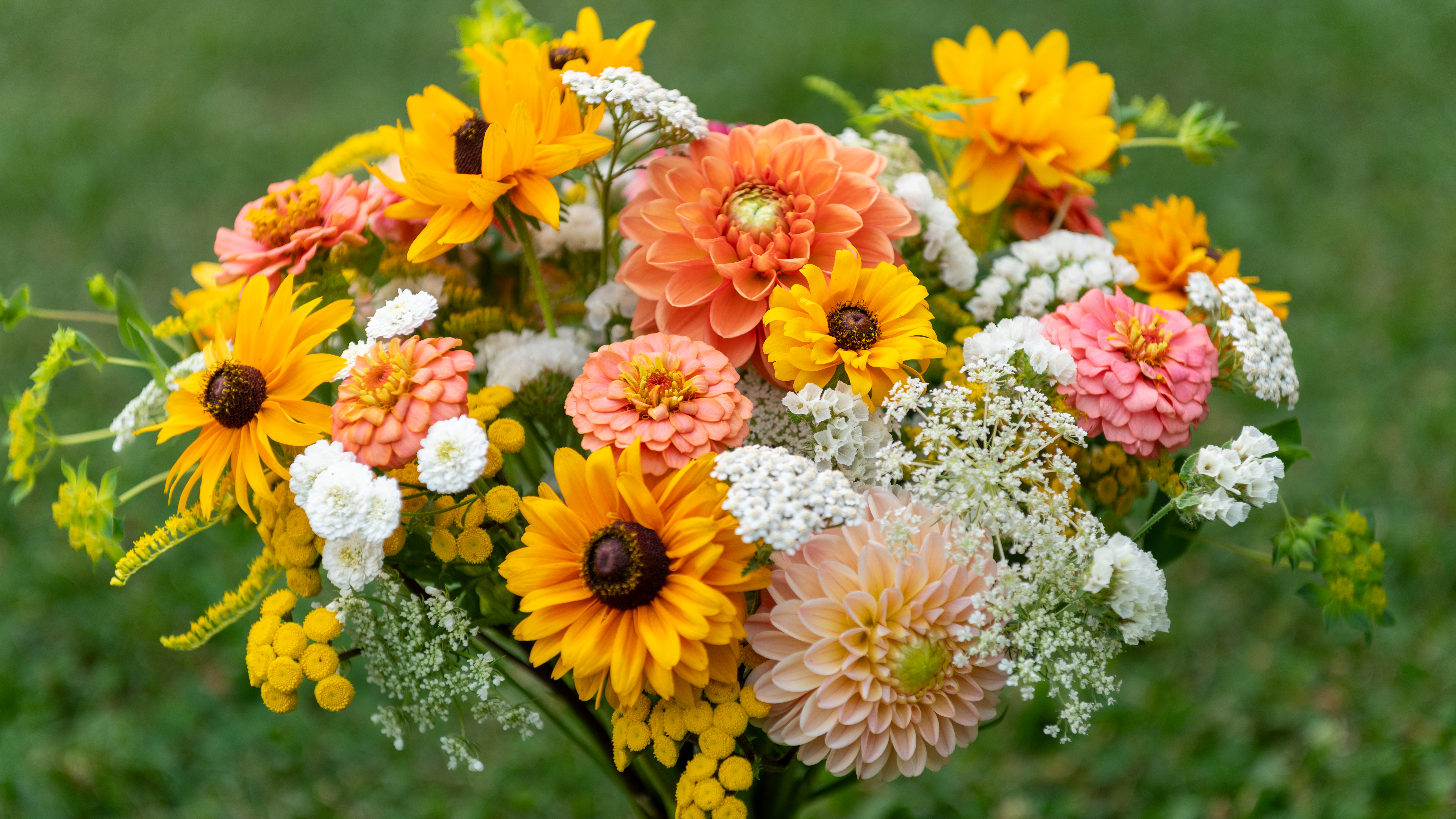Cut Flower Markets